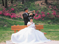 Irvine Wedding Information