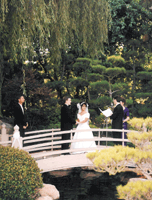 Cypress Wedding Location