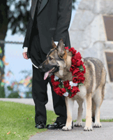 Laguna Niguel Wedding Locations