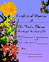 floral marriage certificate & garden wedding
